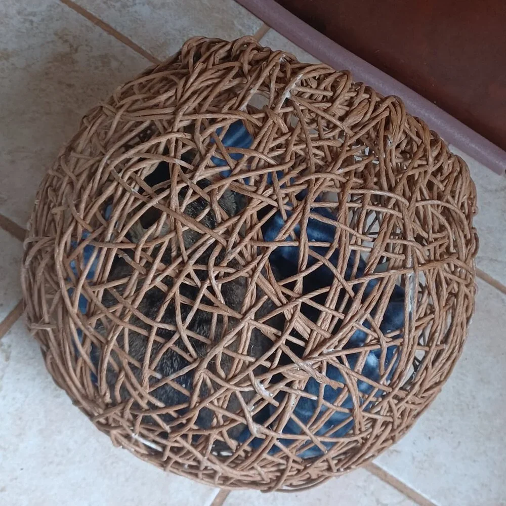 Homemade FiberRush Cat/Dog Bed small/med